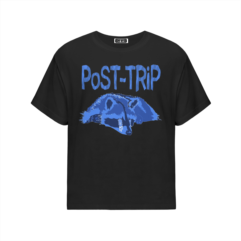 Streetwear Oversized Cotton T-Shirt