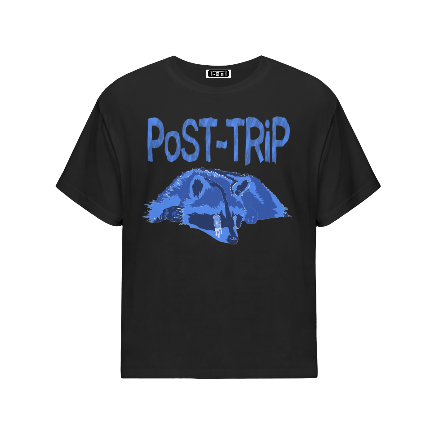 Streetwear Oversized Cotton T-Shirt